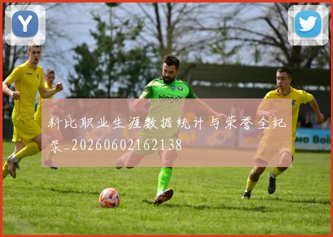 科比职业生涯数据统计与荣誉全纪录_20260602162138