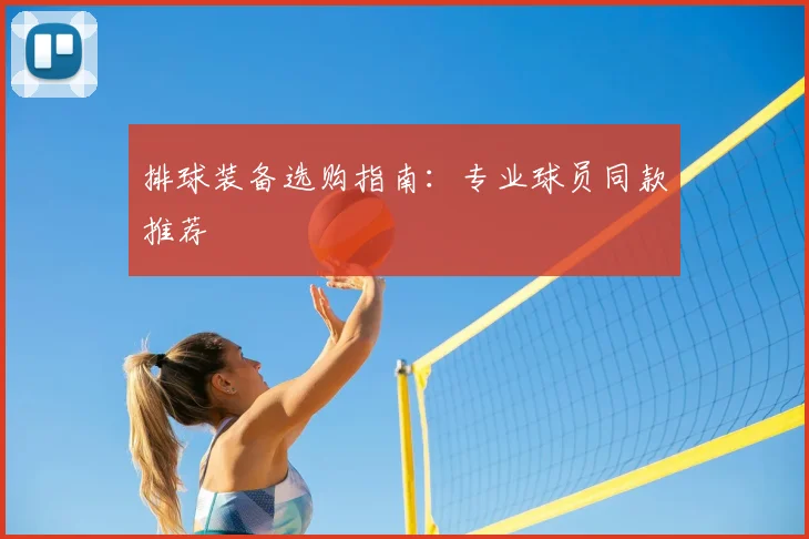 排球装备选购指南:专业球员同款推荐