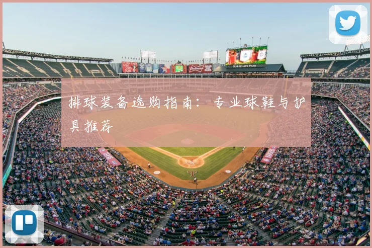 排球装备选购指南：专业球鞋与护具推荐