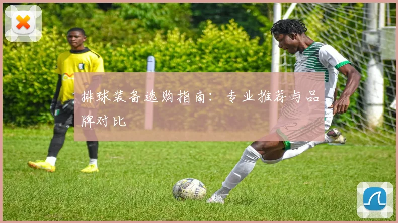 排球装备选购指南：专业推荐与品牌对比